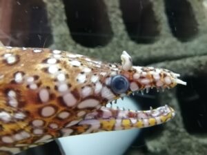 水族館