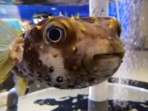 水族館