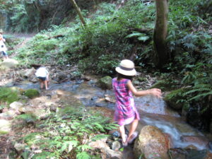 夏川遊び