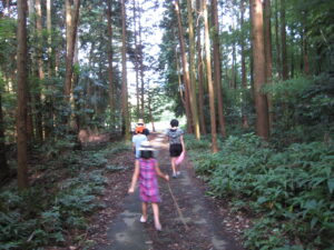 夏川遊び