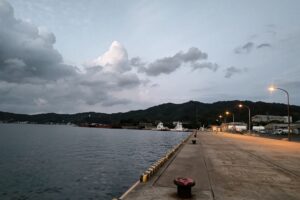 立秋の港
