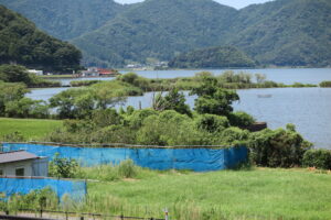 三方五湖