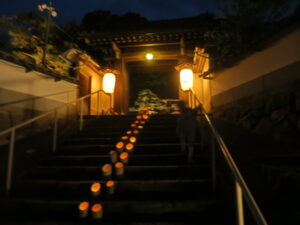 寺,ライトアップ