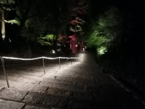 成相寺,五重塔,ライトアップ